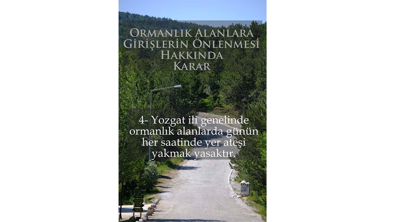 Orman Yangınları (3)-1