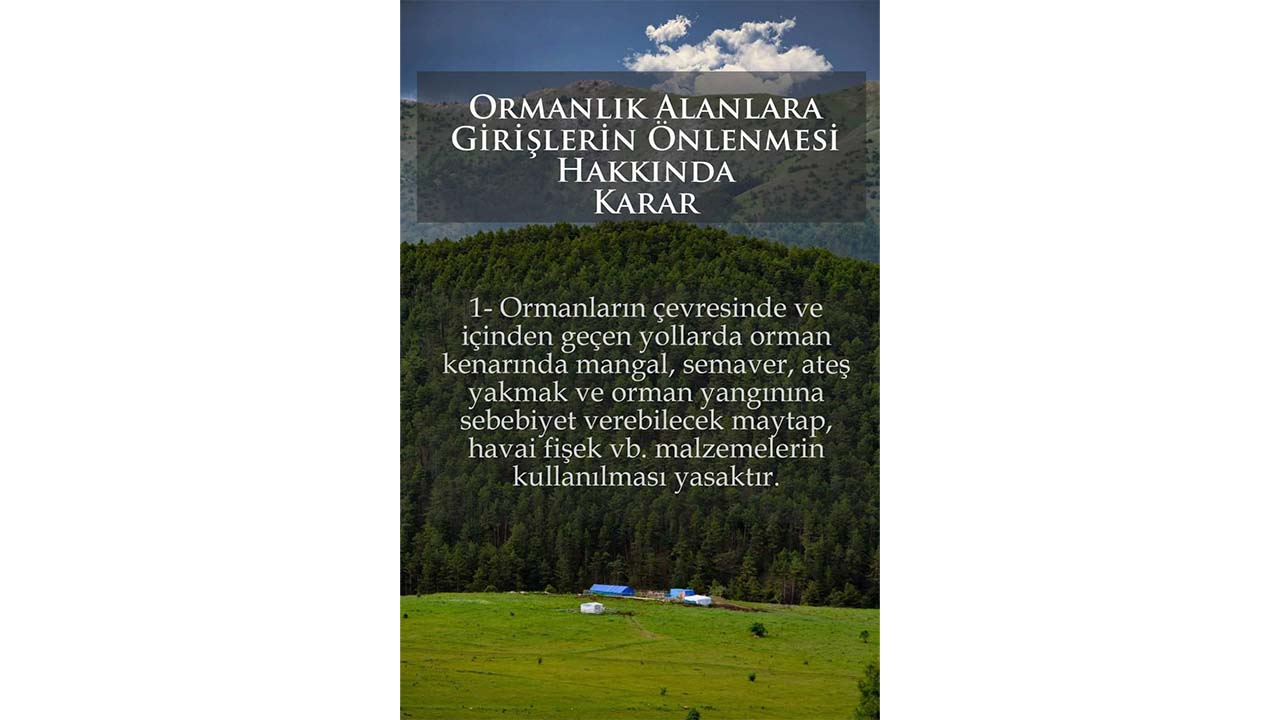 Orman Yangınları (4)-1