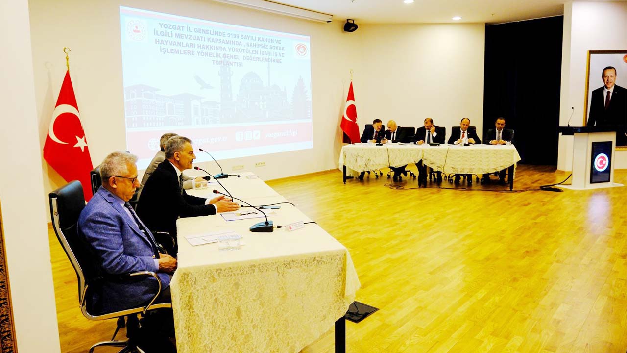 Sokak Hayvanları Vavilik Toplantı (6)