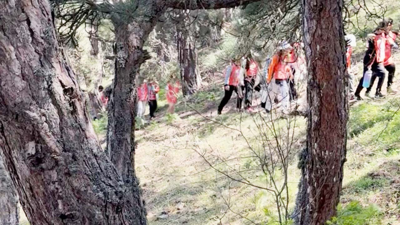 Tema Yozgat (1)