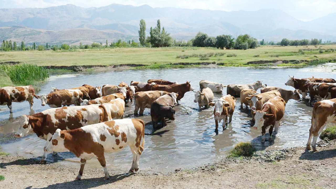 Yozgat Tkdk (1)
