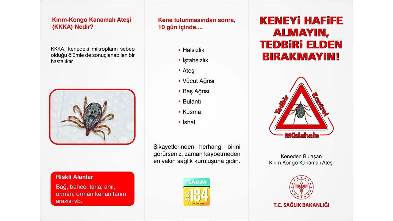 Akdağ Kene (1)