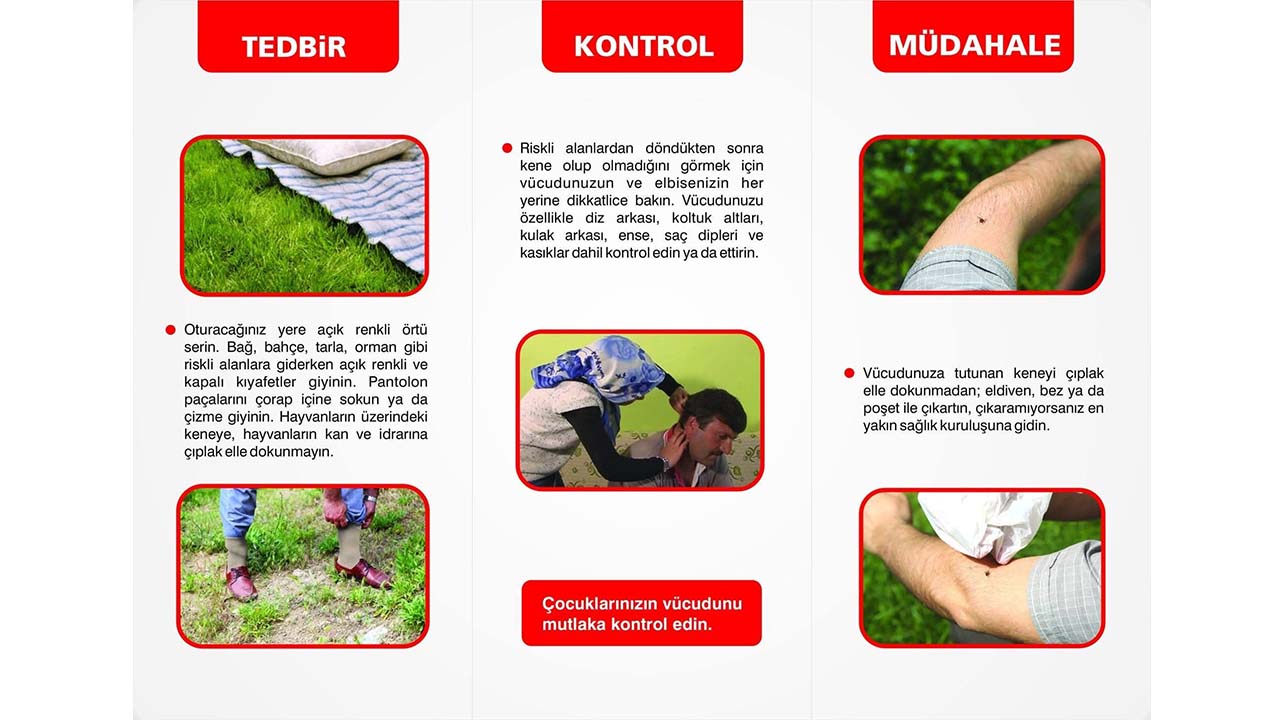 Akdağ Kene (2)