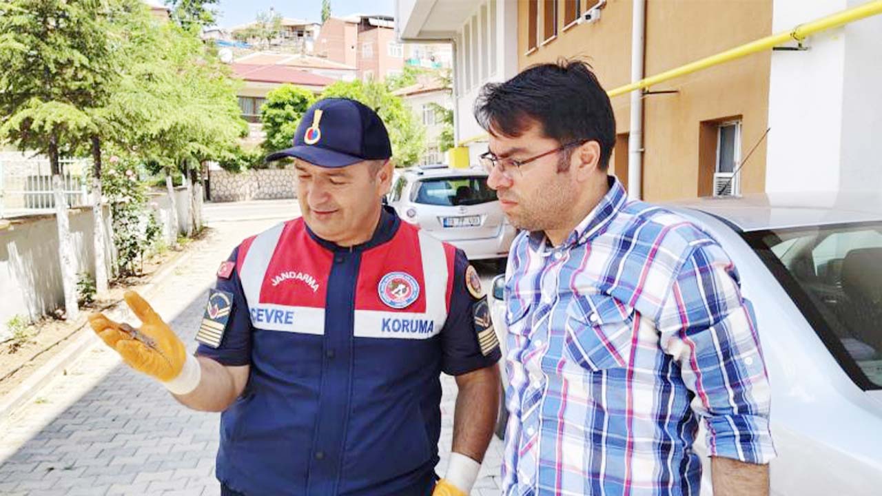 Bozkır Kele (4)