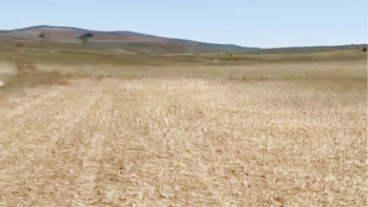 Çandır Çiftçi (2)