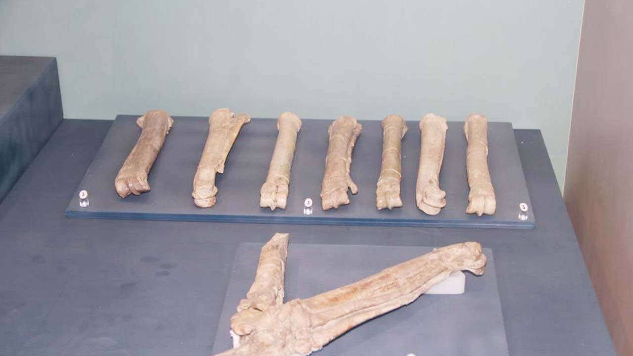 Çankırı Müzesi (4)