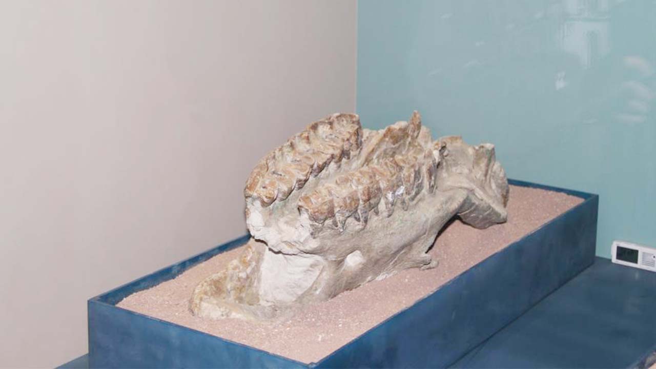 Çankırı Müzesi (5)