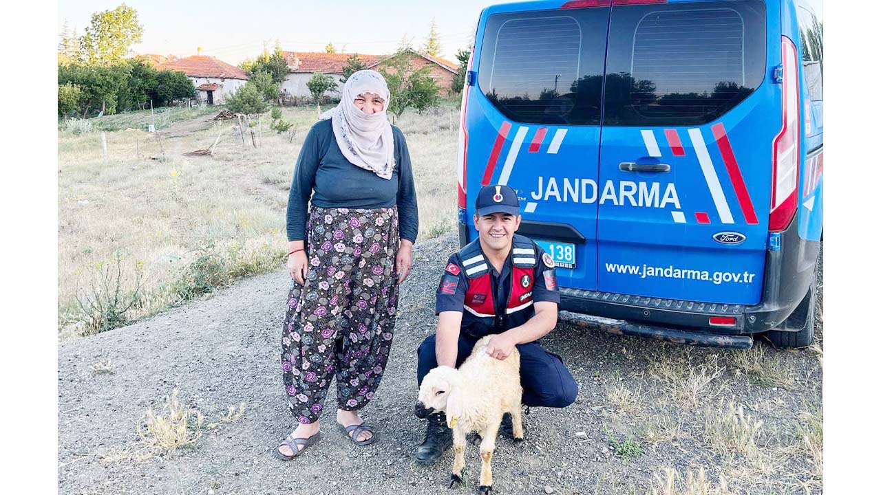 Fatma Teyze Kuzu (1)