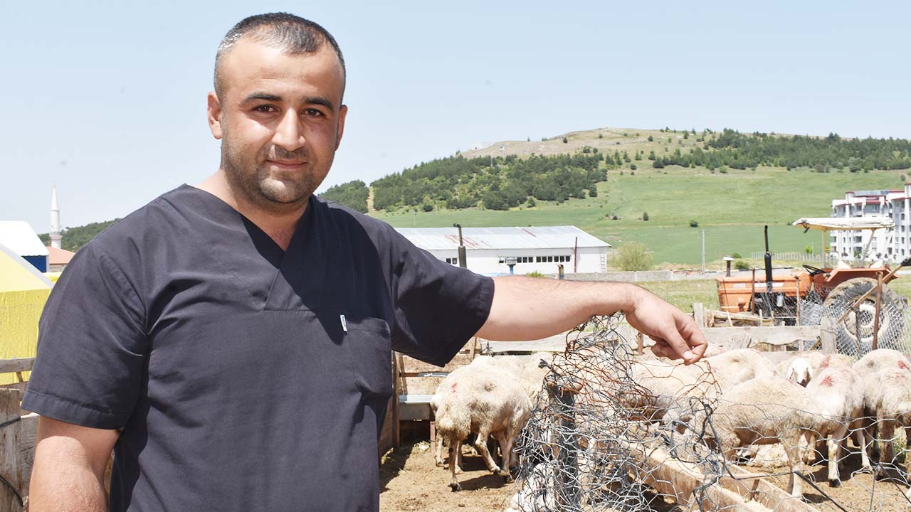 Feyzullah Doğan