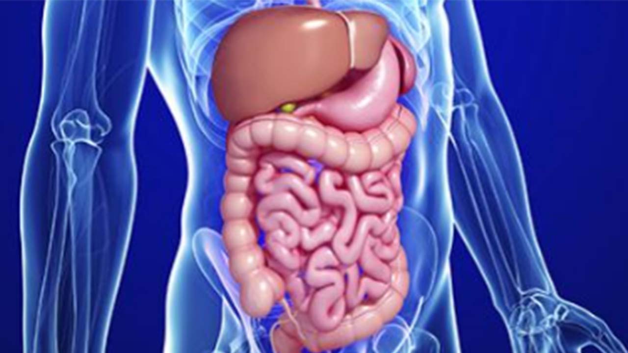 Gastroenteroloji (2)