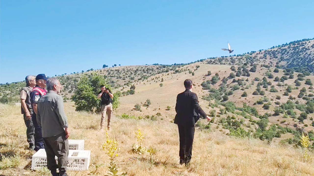 Janarma Keklik Salımı (1)