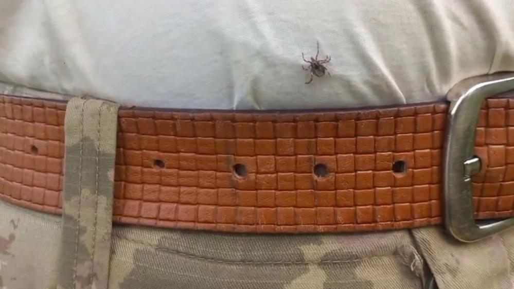 Kene Uzman Kırsal (3)