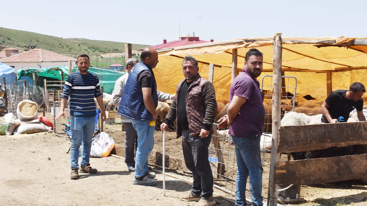 Kurban Pazarı (3)