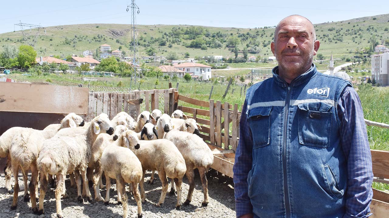 Muharrem Yalçın