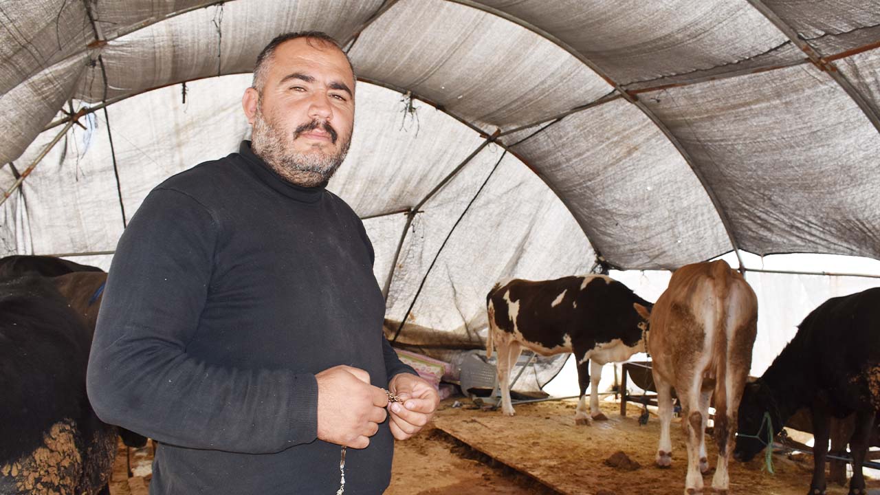 Mustafa Akça
