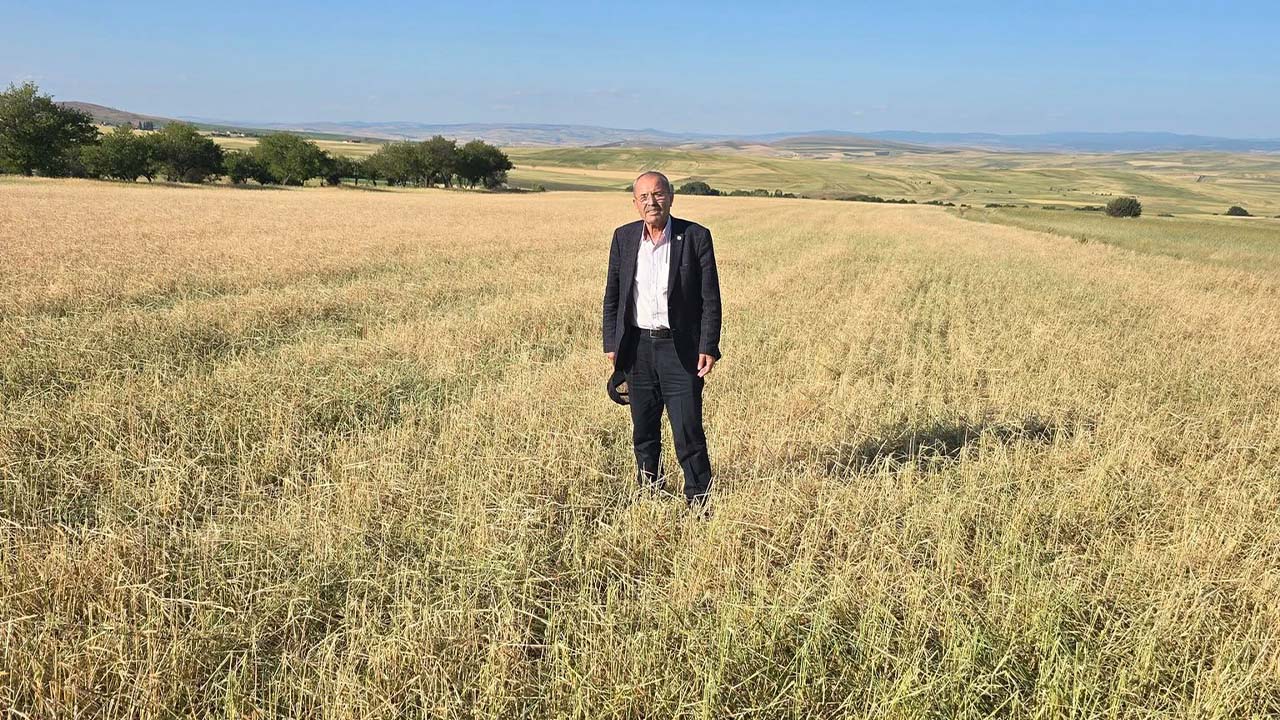 Sarıkaya Tarla Don (3)