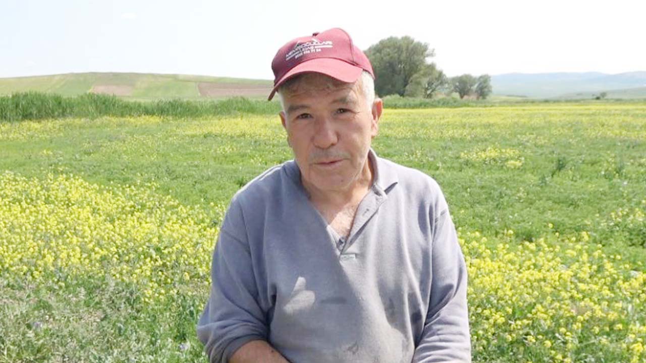 Sorgun Tarla Zarar (4)