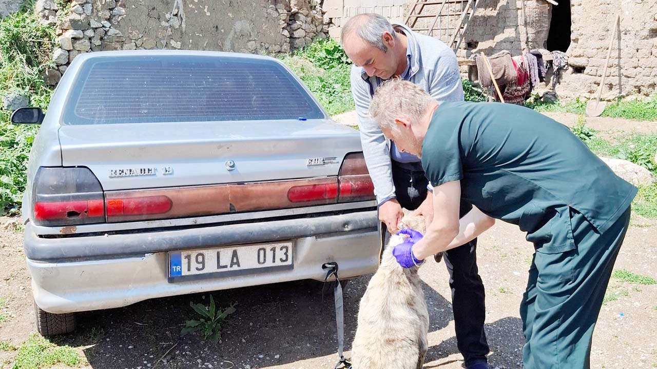 Valilik Uyarı Çip (3)