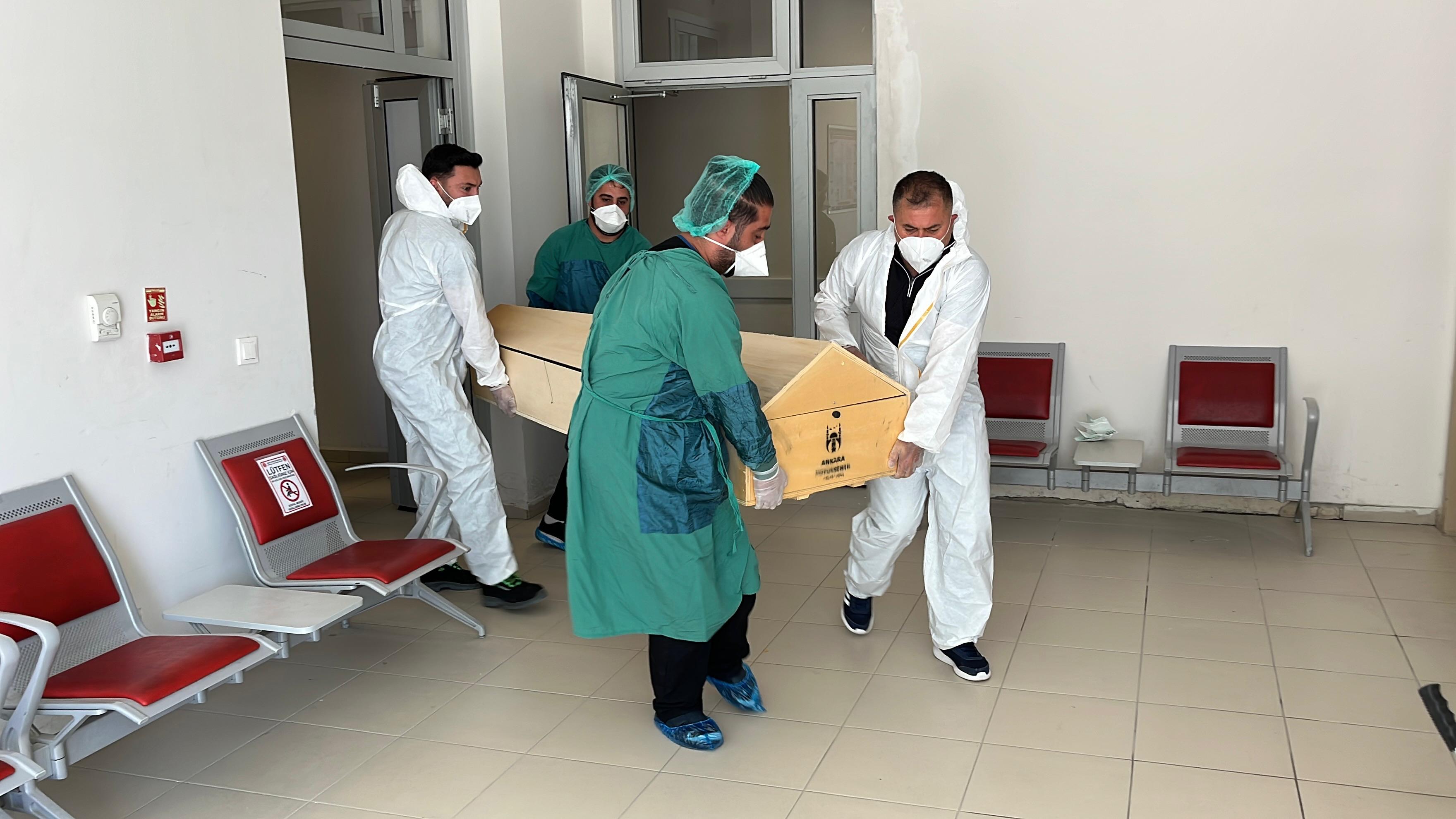 Yobü Kene Can Aldı (2)