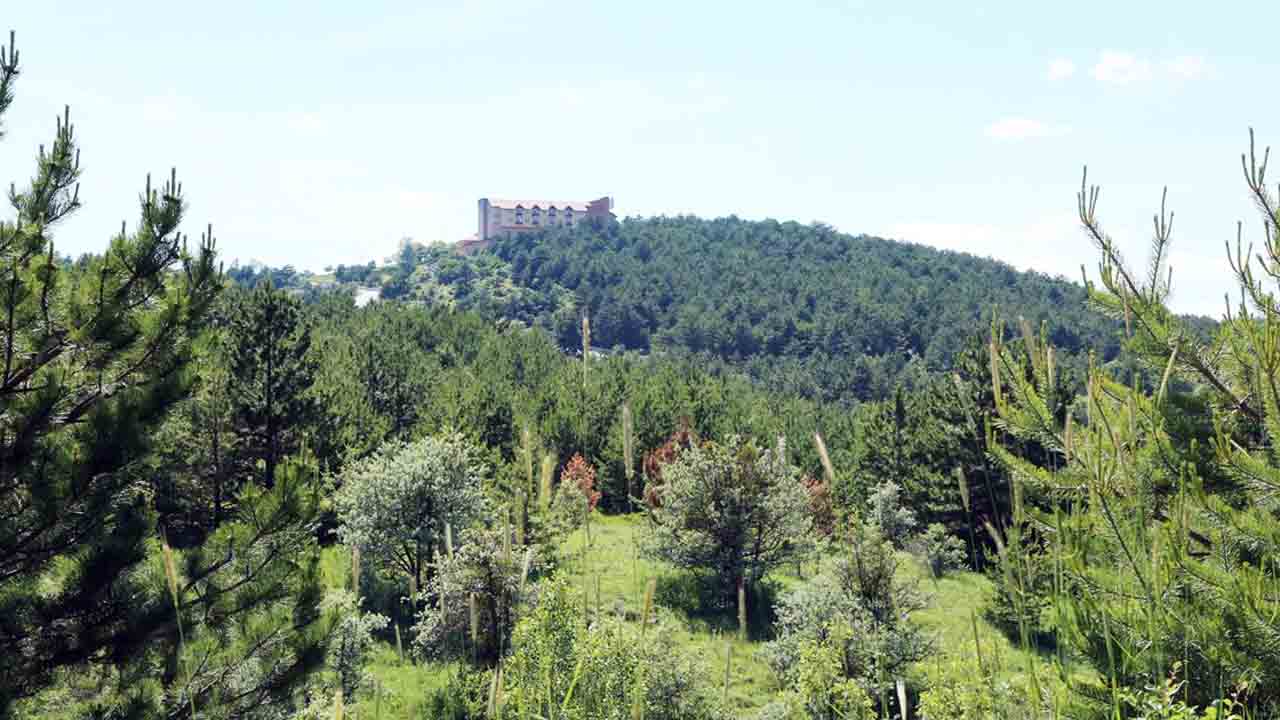 Yozgat Camlik-1