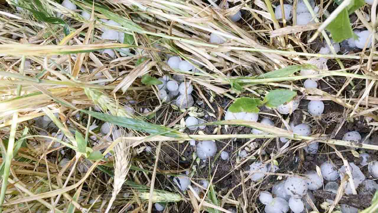 Yozgat Dolu Saganak 1