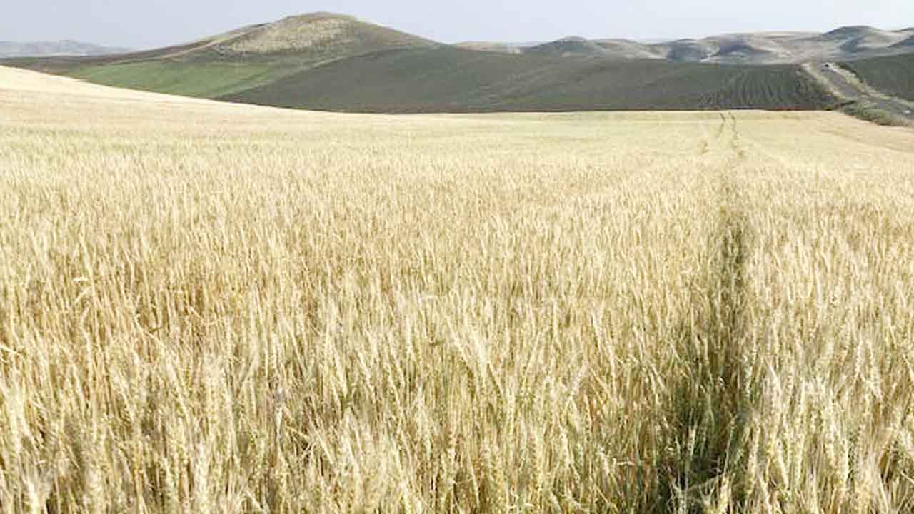 Yozgat Dolu Saganak 2