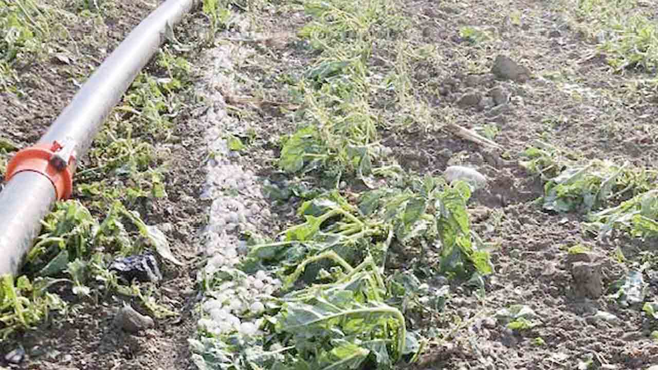 Yozgat Dolu Saganak 3