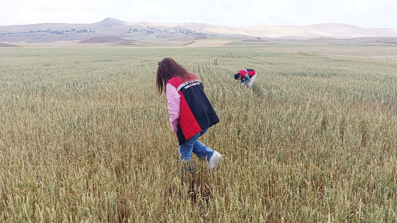 Yozgat Il Tarım (2)