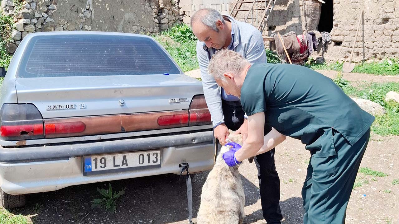 Yozgat Valiliği Çip (3)