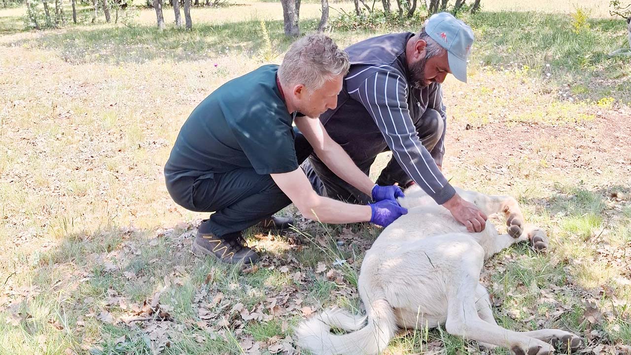 Yozgat Valiliği Çip (4)
