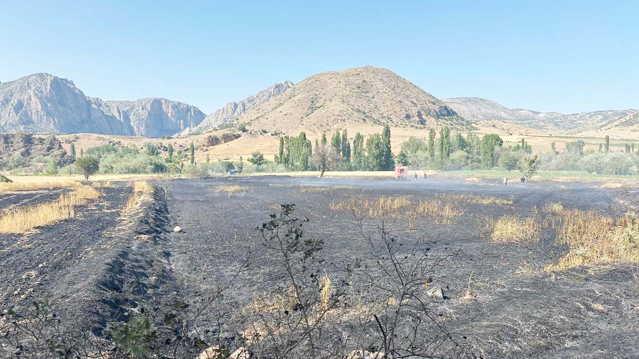Yozgat Valilik Yangın (2)