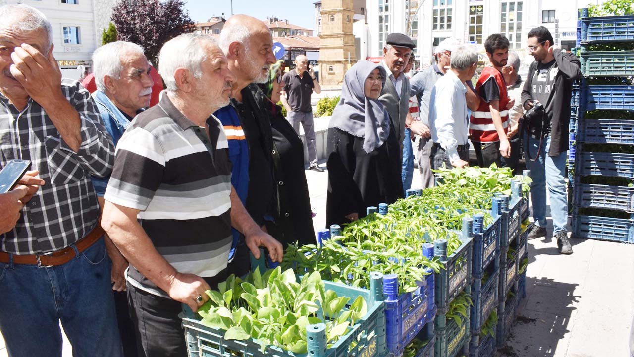 Zafer Partisi Fide Dağıtımı (8)
