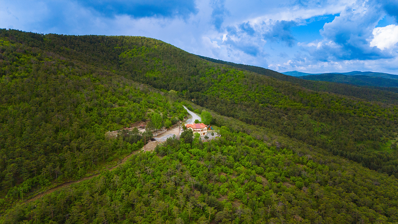 Akdağmadeni Ormanları (2)