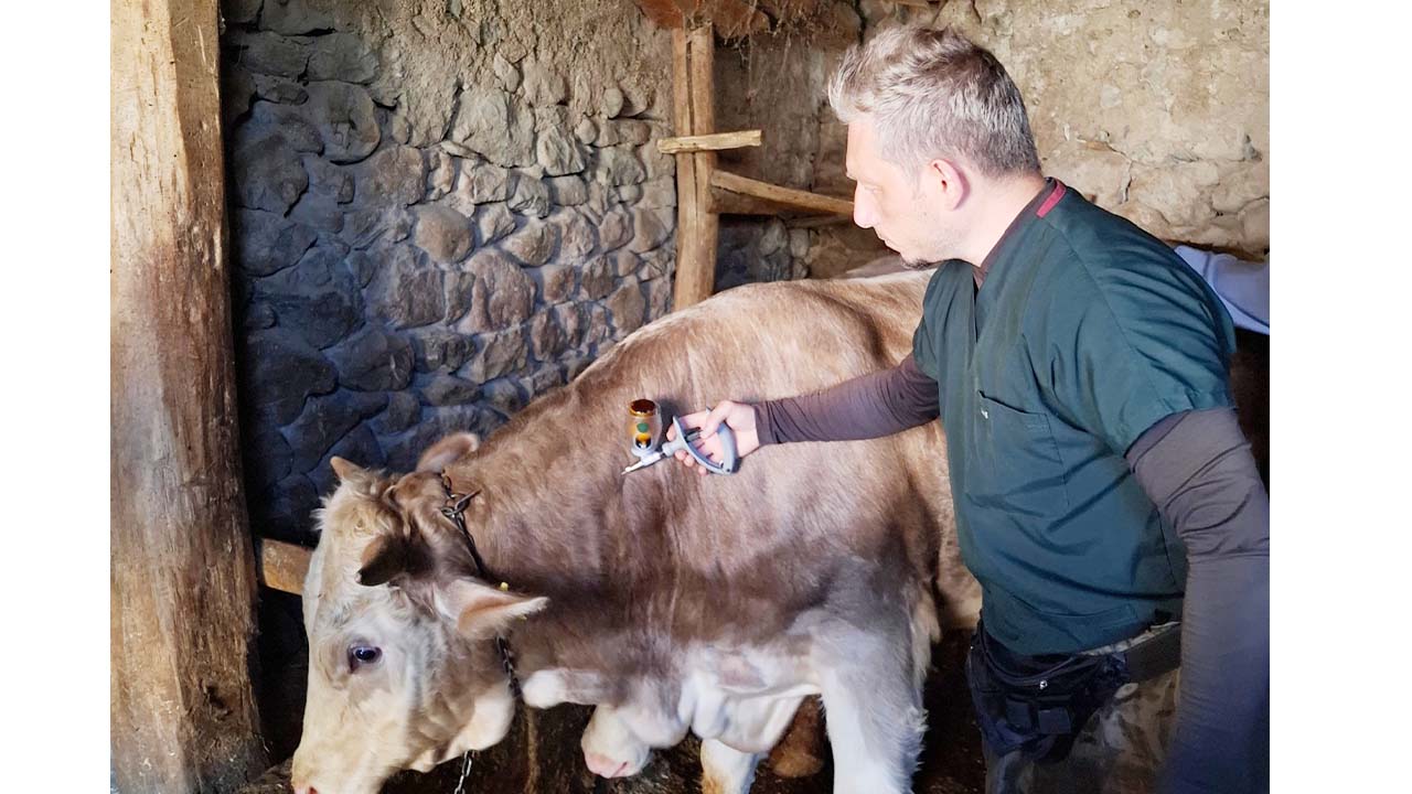 Aşı Yozgat Hayvan (4)