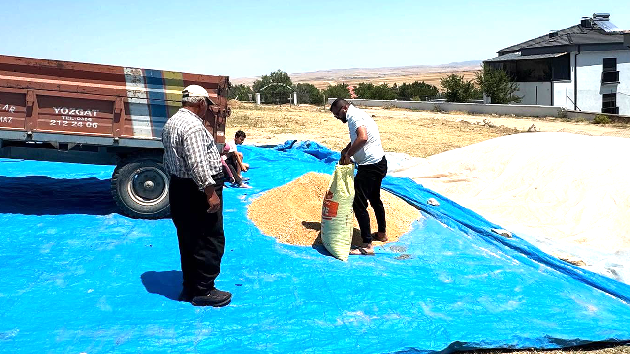 Bahadin Kültür Derrneği̇ Bugday 1