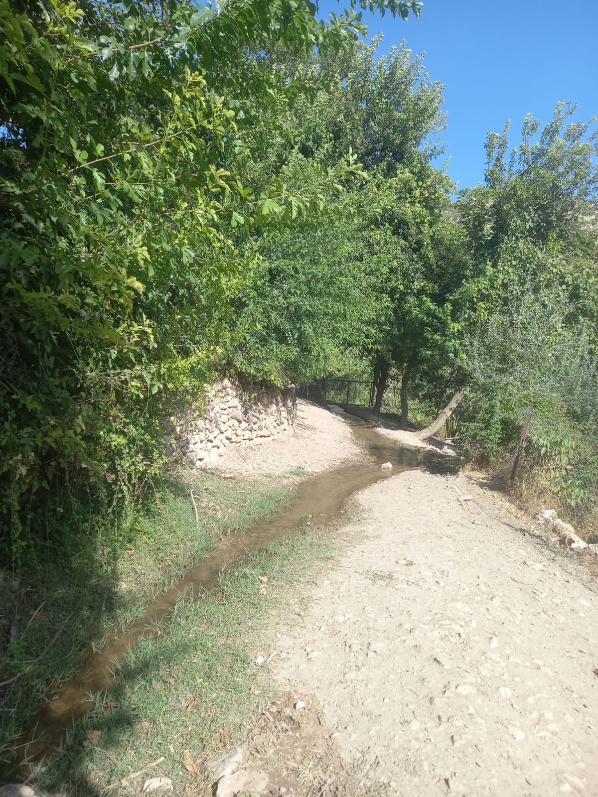 Çakır Köşe (19)