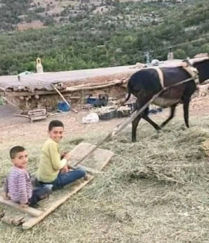 Çakır Köşe (5)