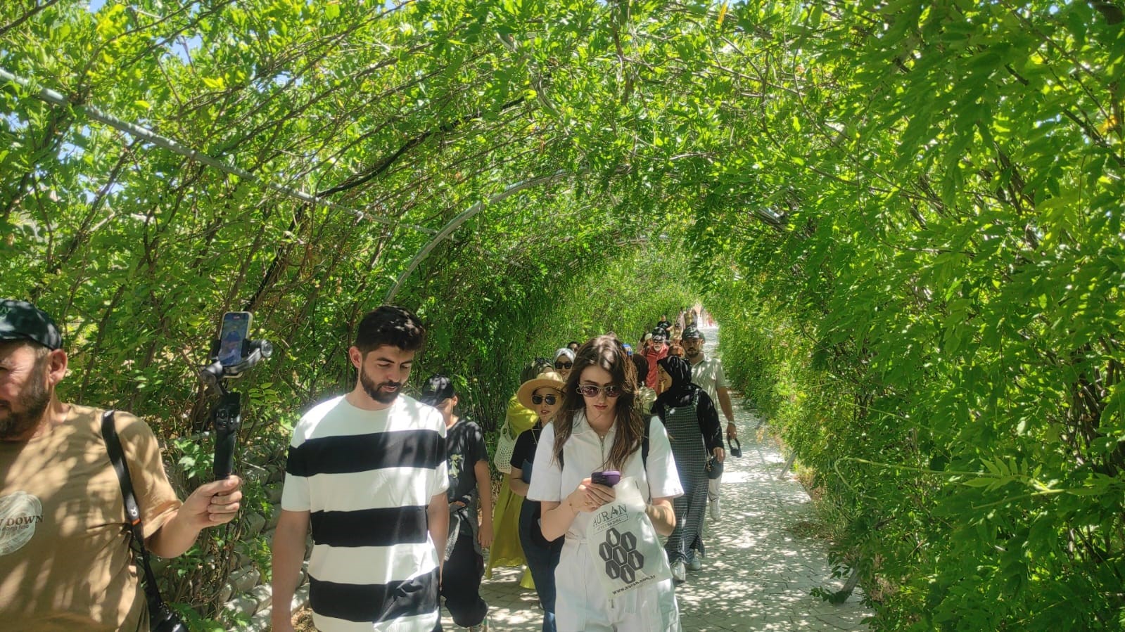 Çekerek Lavanta (1)