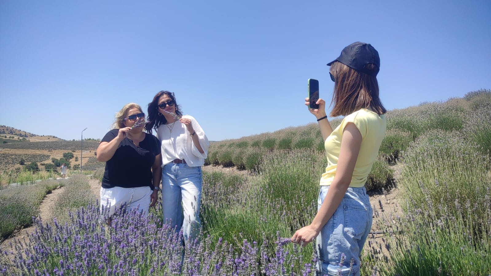 Çekerek Lavanta (2)