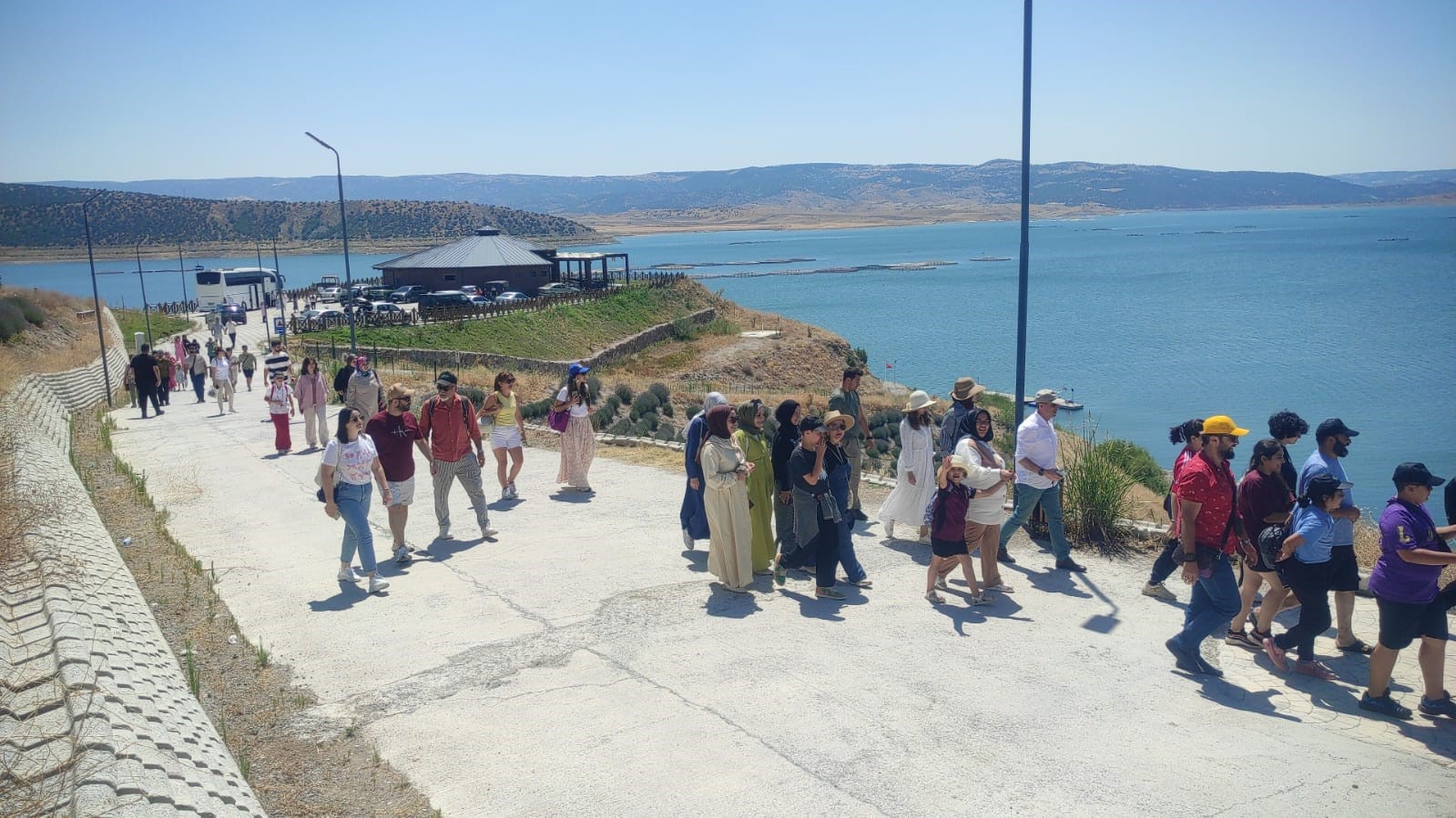 Çekerek Lavanta (4)