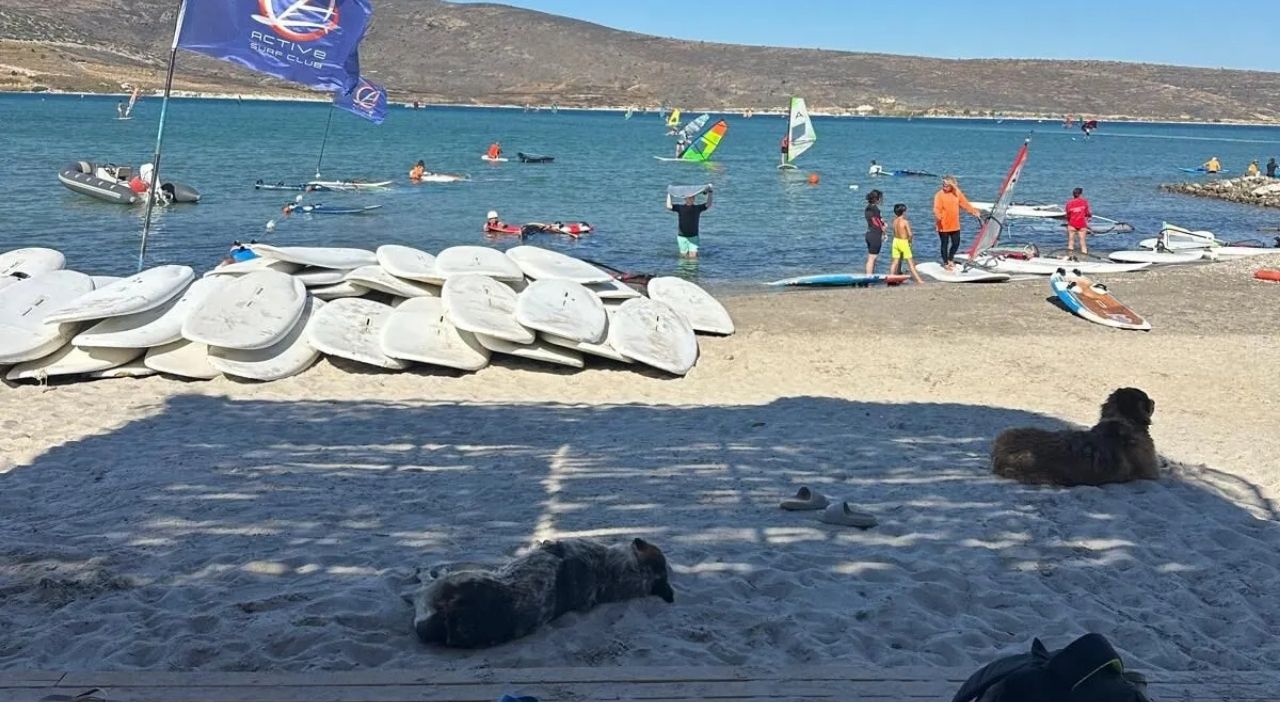 Çeşme Yangını Normale Döndü