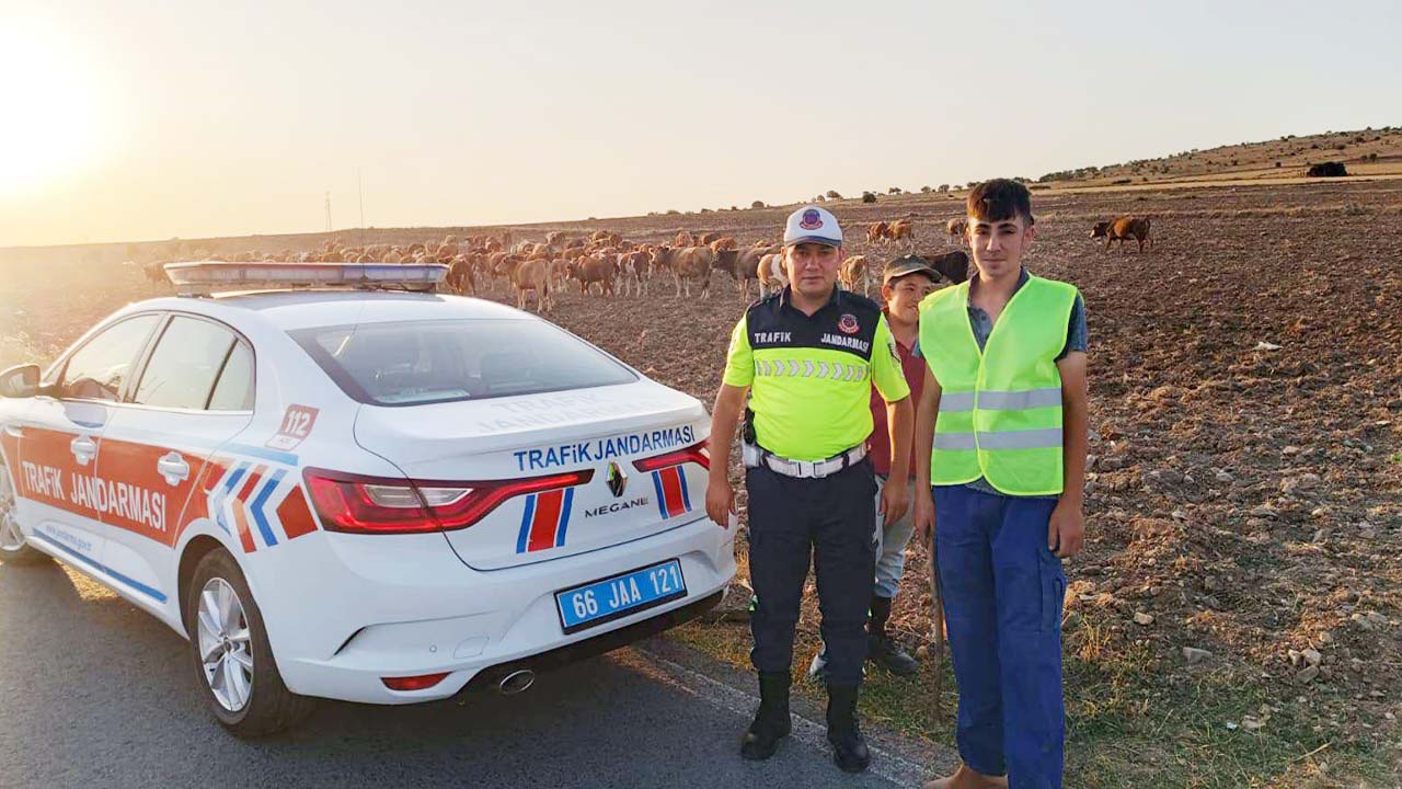 Çoban Yelek (1)