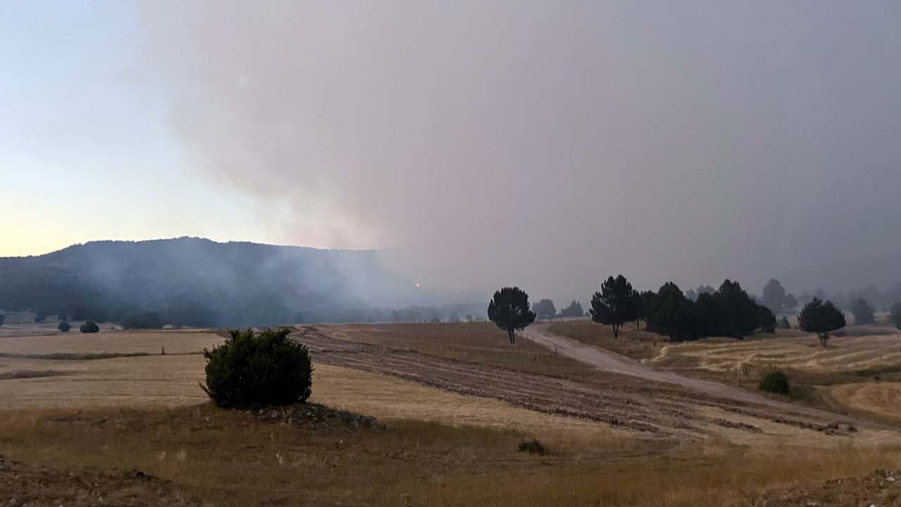 Eskisehir Orman Yangini 1