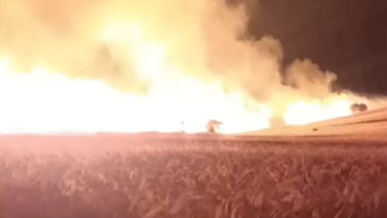 Eymir Çağrı Yangın (1)