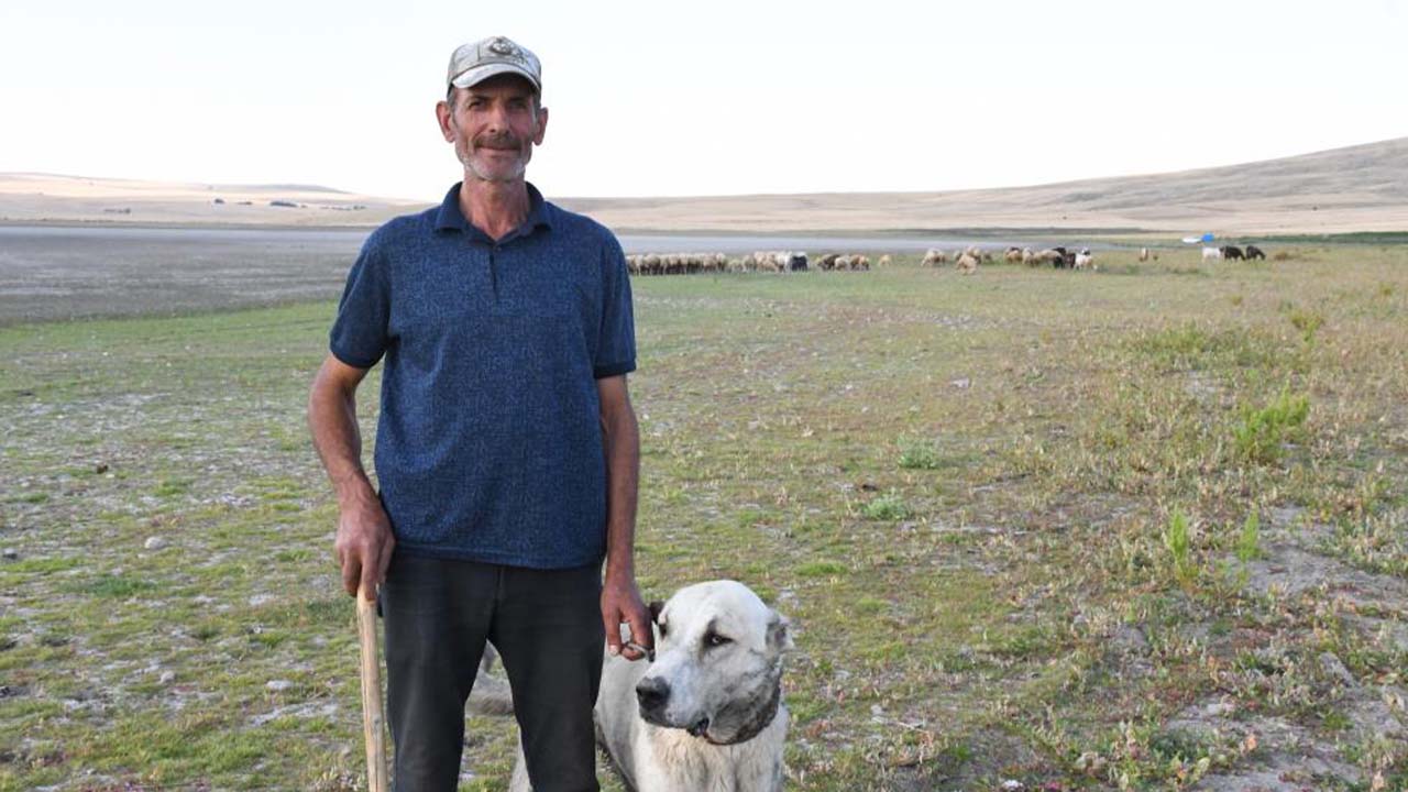 Gelingüllü Barajı Kuş (3)