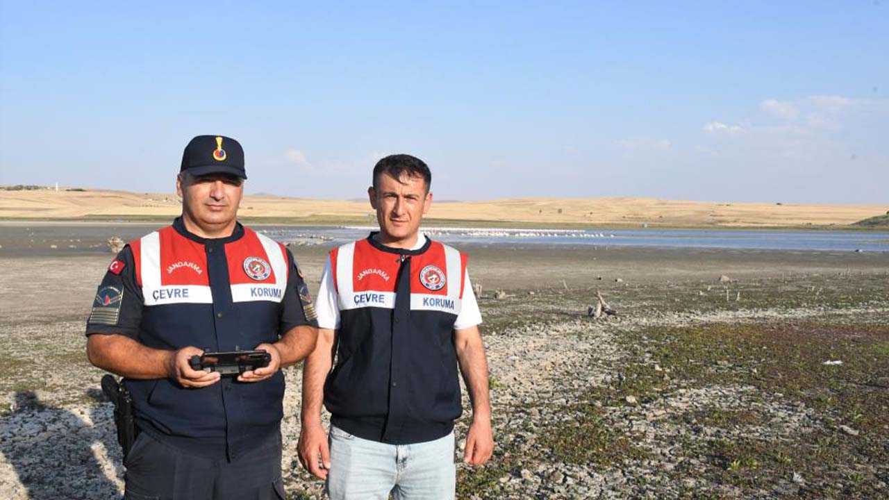 Gelingüllü Barajı Kuş (4)