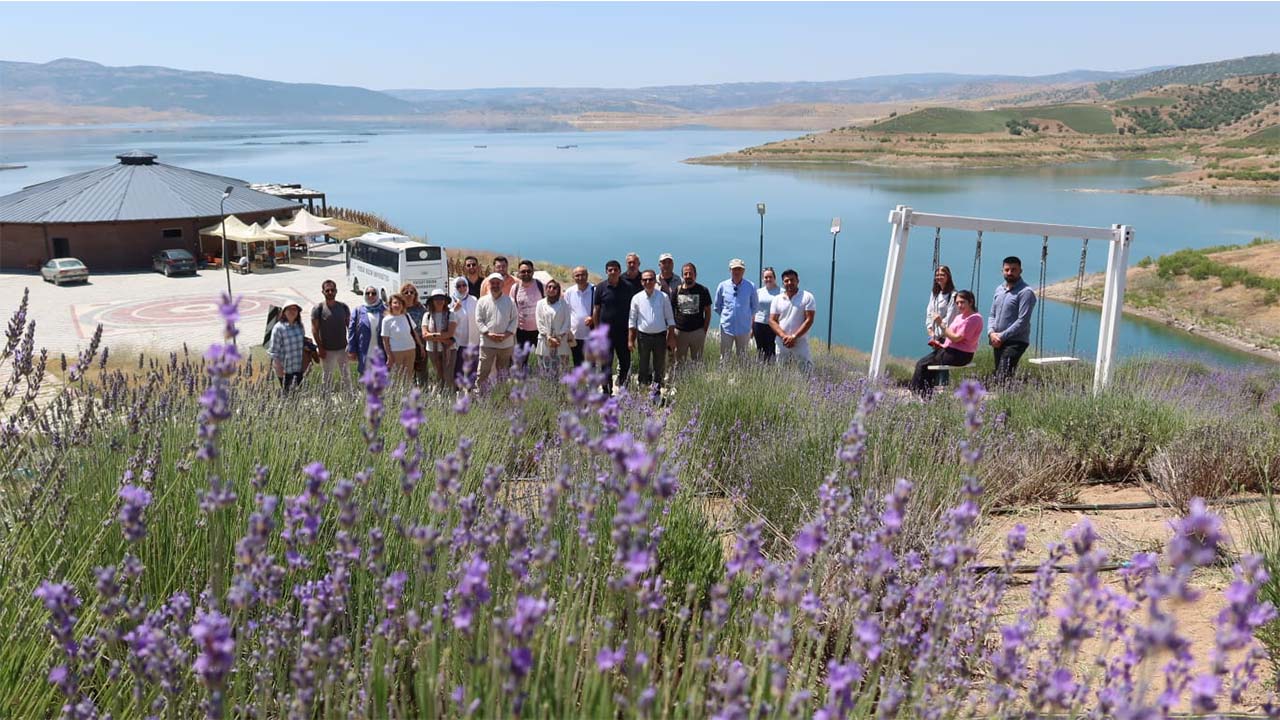 Hamdi Temel Özel Lavanta (3)