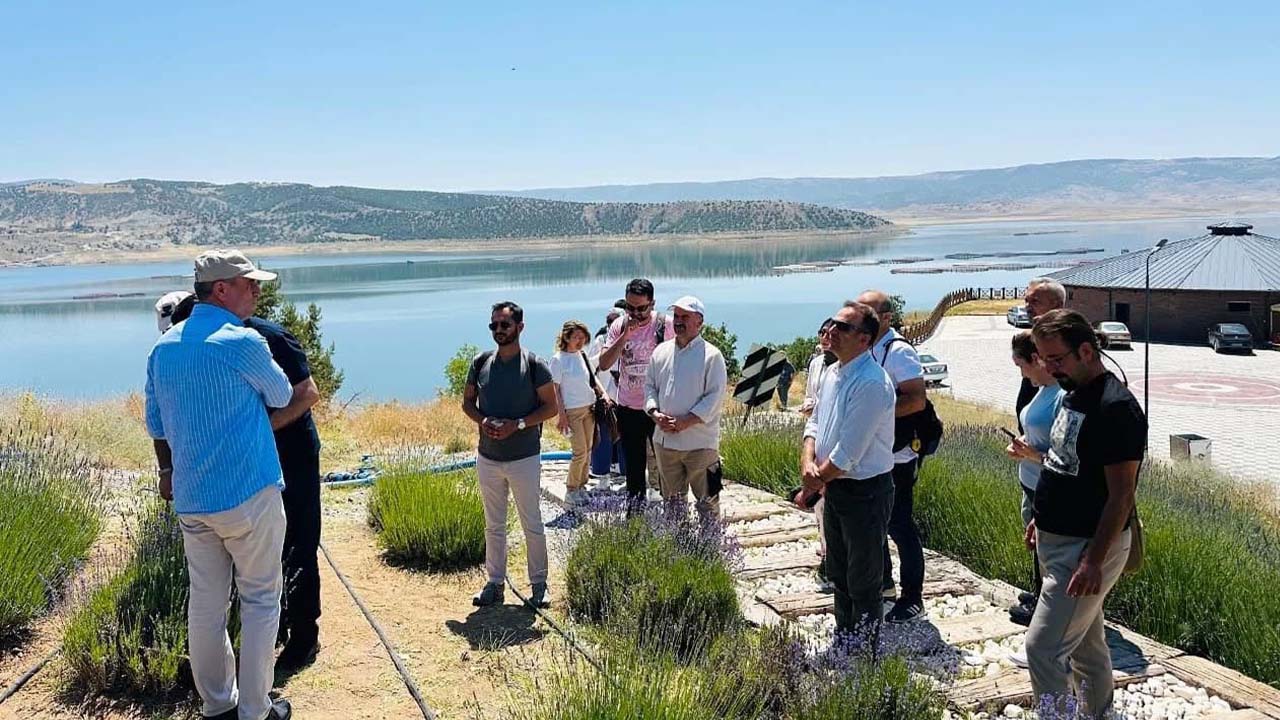 Hamdi Temel Özel Lavanta (4)