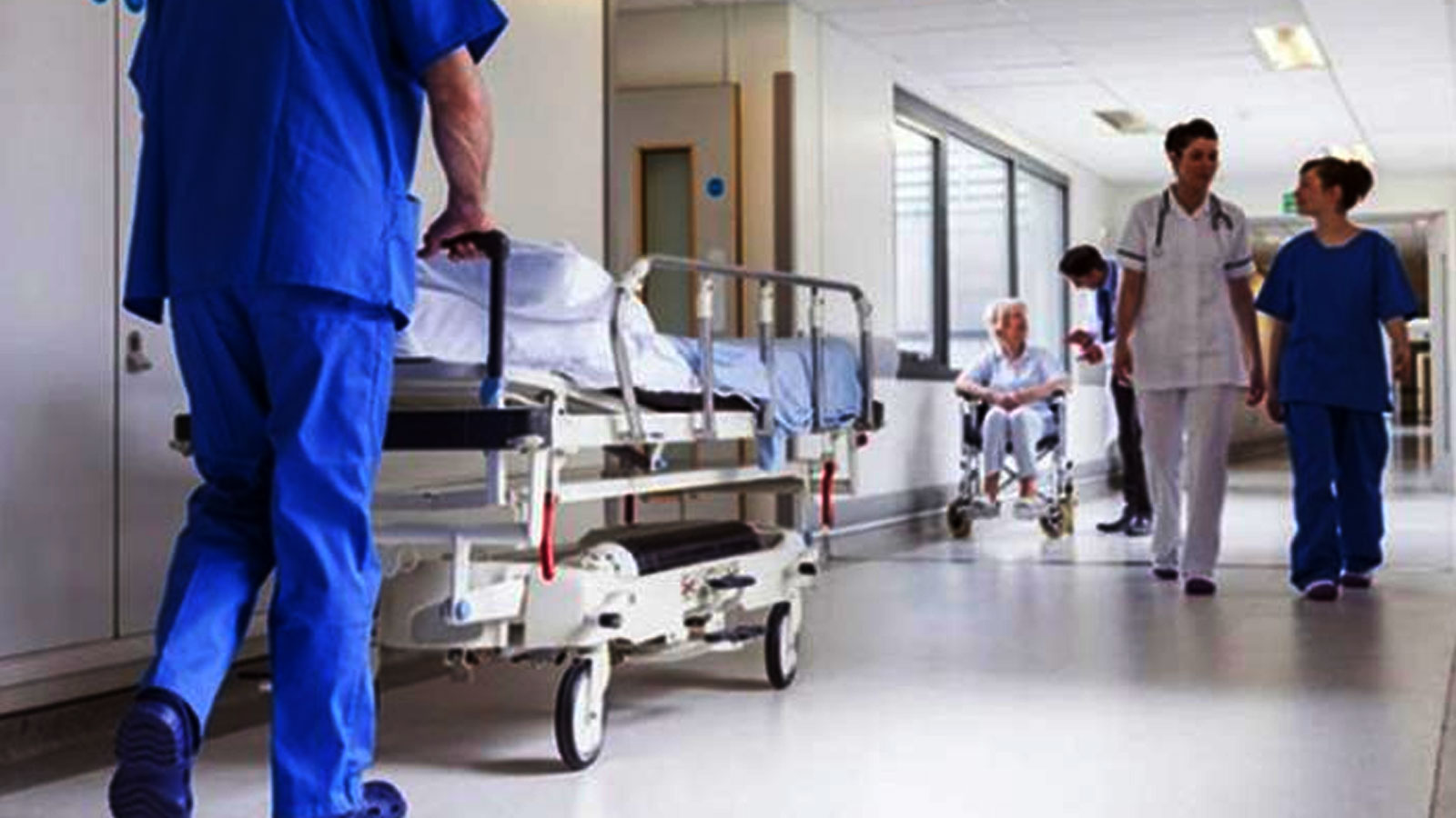 Hasta Danışmanı 1