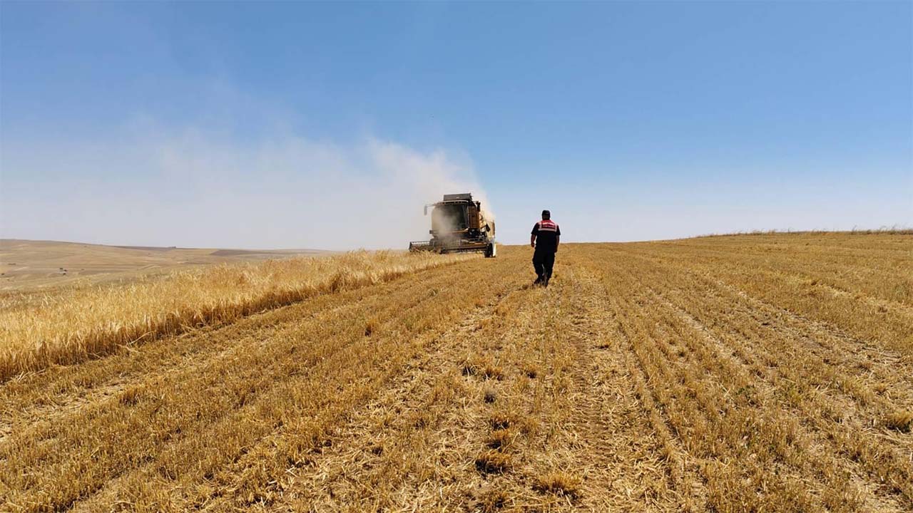 Jandarma Kırsal (2)